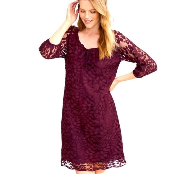 Garnet Hill Deep Mahogany Bohème Easy Lace Dress women’s size 10 - Picture 1 of 13